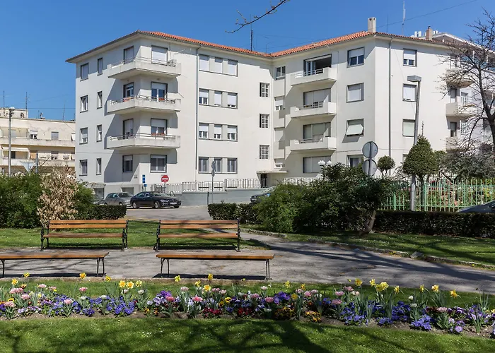 자데라 어코모데이션